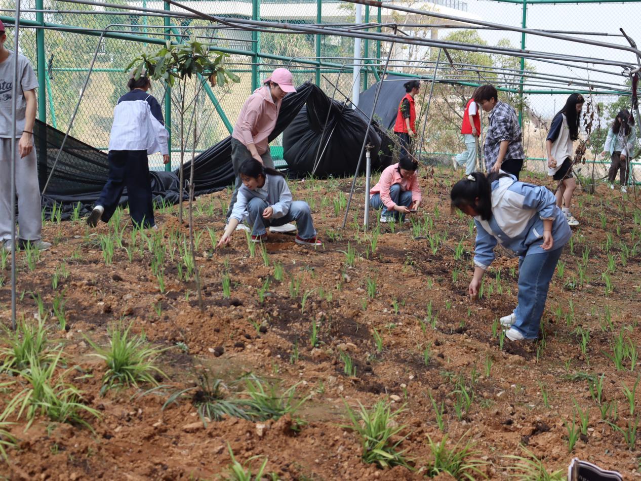 学生参加开春第一锄中药种植活动.jpg