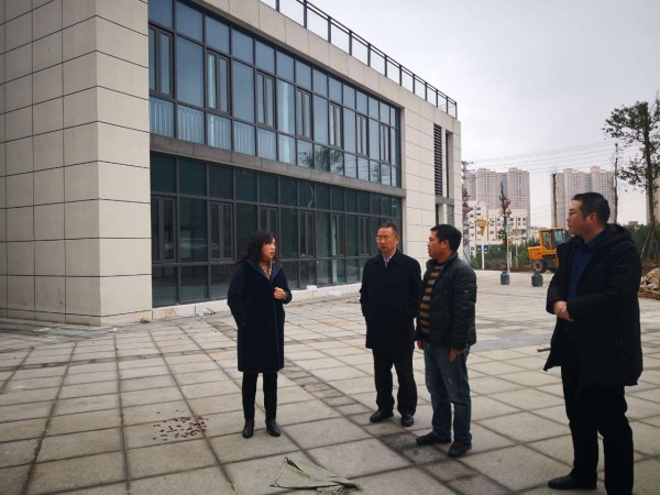 党委书记黄霞调研行政楼改造工作（2019）.jpg
