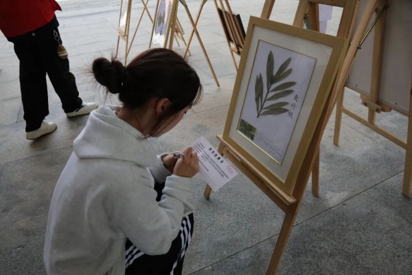 “寻秘本草·阅见岐黄”阅读推广活动——学生在中药材标本展示区了解药材药性