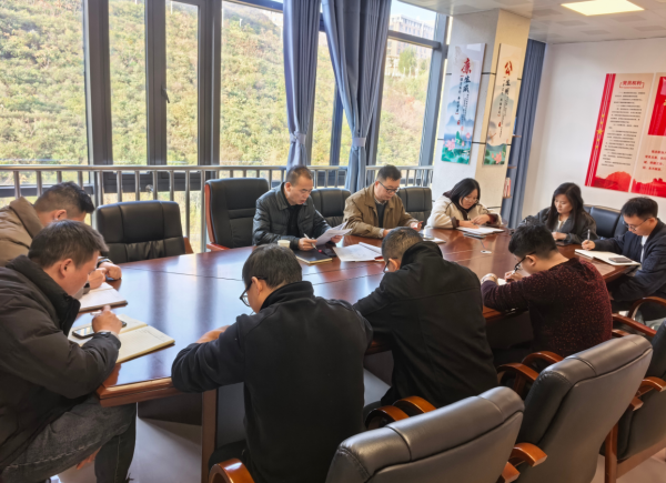 党委办召开“双高”建设学校治理工作项目组推进会