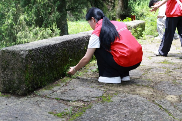 红军桥除草.jpg